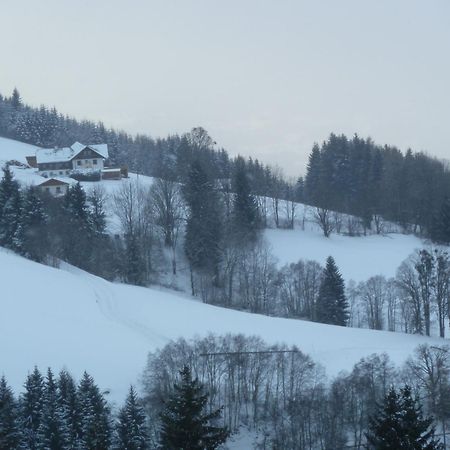 Rainzhof Hotel Aich  Buitenkant foto